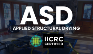 Applied Structural Drying